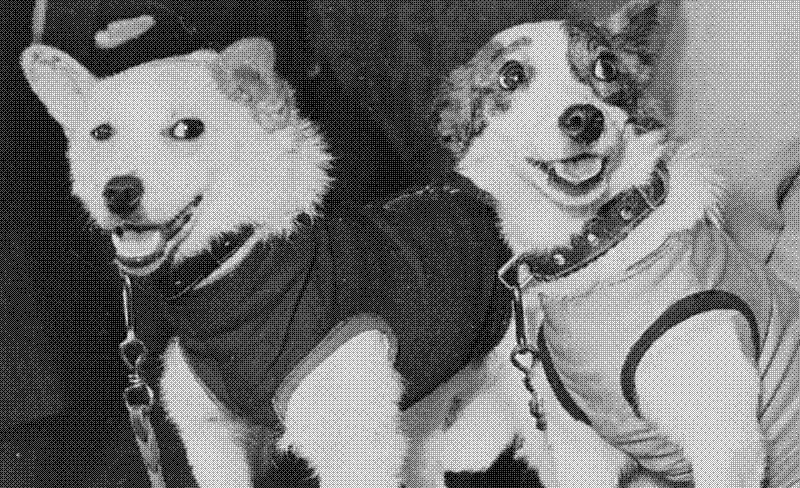 Imagen de Los Perros Espaciales Soviéticos: Belka y Strelka