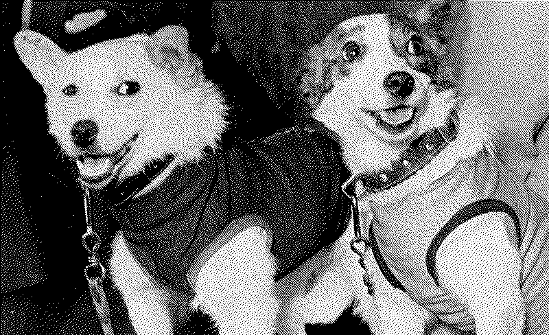 Imagen de Los Perros Espaciales Soviéticos: Belka y Strelka