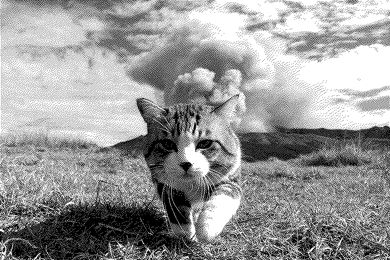 Imagen de ¿Qué sistema gobernaría luego del apocalipsis de la civilización?