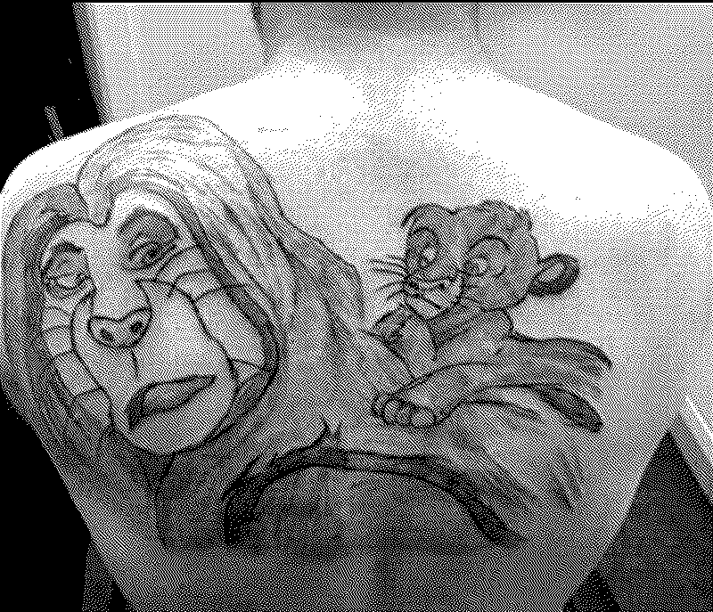 Imagen de BadTattoo: los peores tatuajes que jamás te deberías hacer - Parte 13