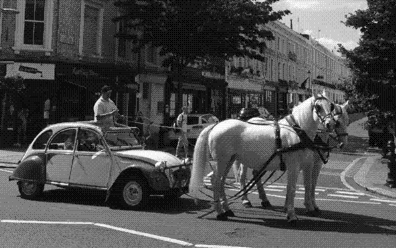 Imagen de ¿Un caballo tira más que un caballo de fuerza?