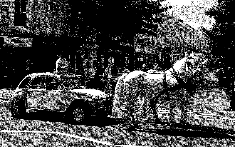 Imagen de ¿Un caballo tira más que un caballo de fuerza?