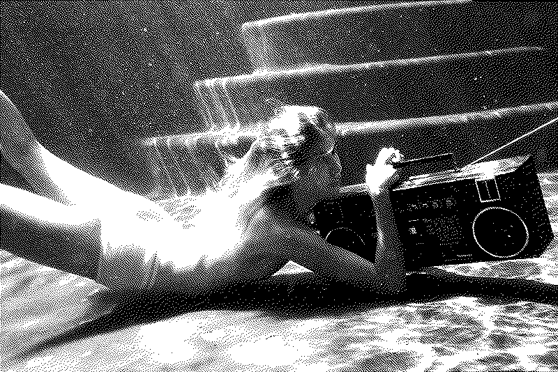 Imagen de El imperio de las moscas