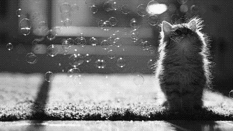 Imagen de Links de Viernes - #608