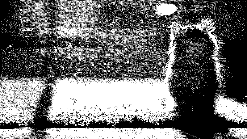 Imagen de Links de Viernes - #608