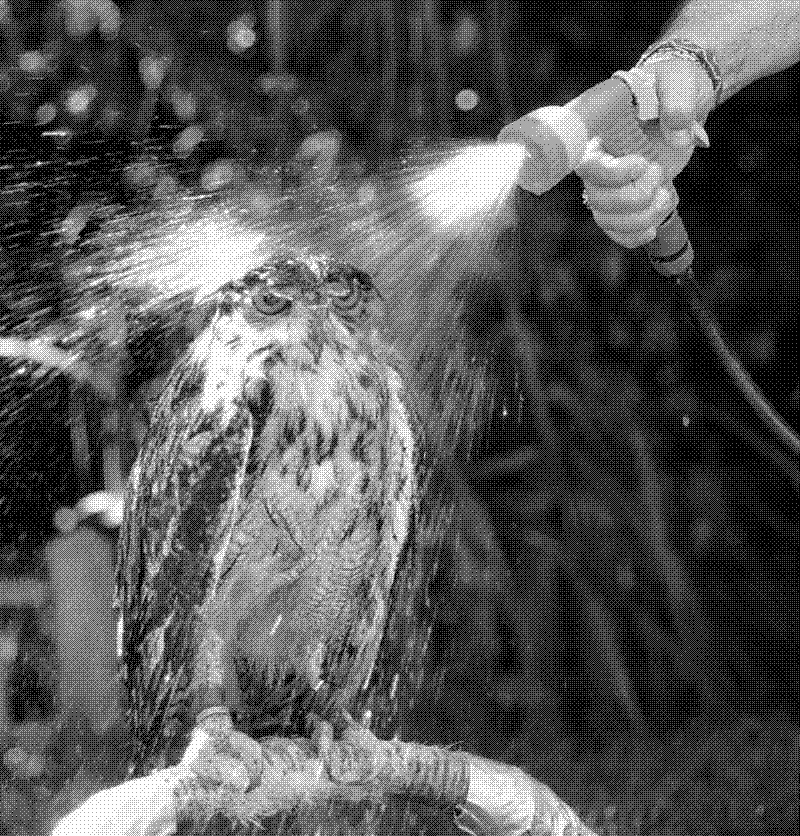 Imagen de Links de Viernes - #614