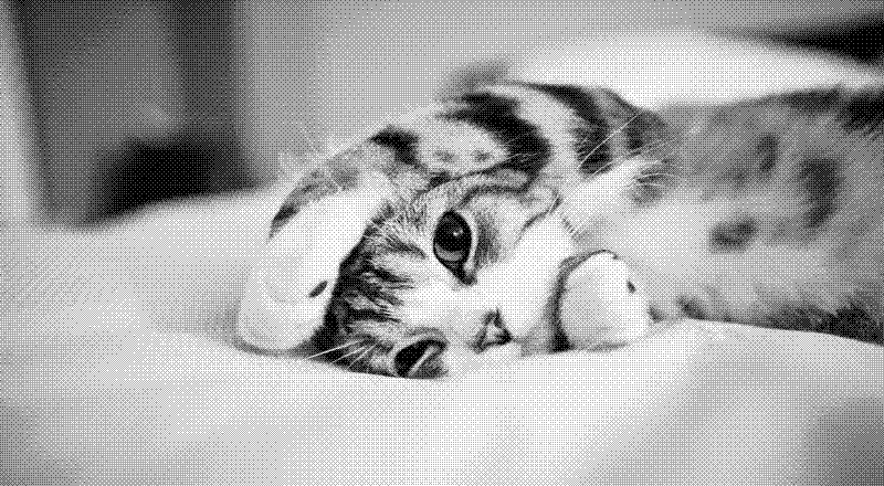 Imagen de Links de Viernes - #626