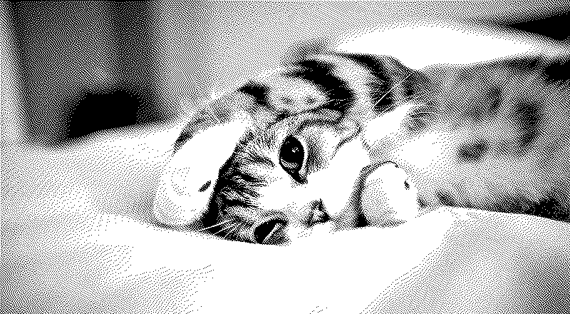 Imagen de Links de Viernes - #626