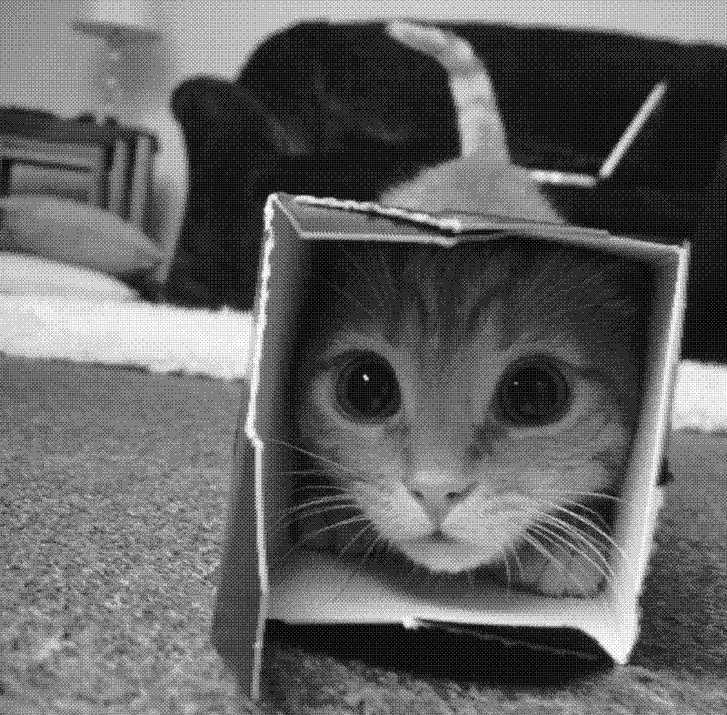 Imagen de Links de Viernes - #630