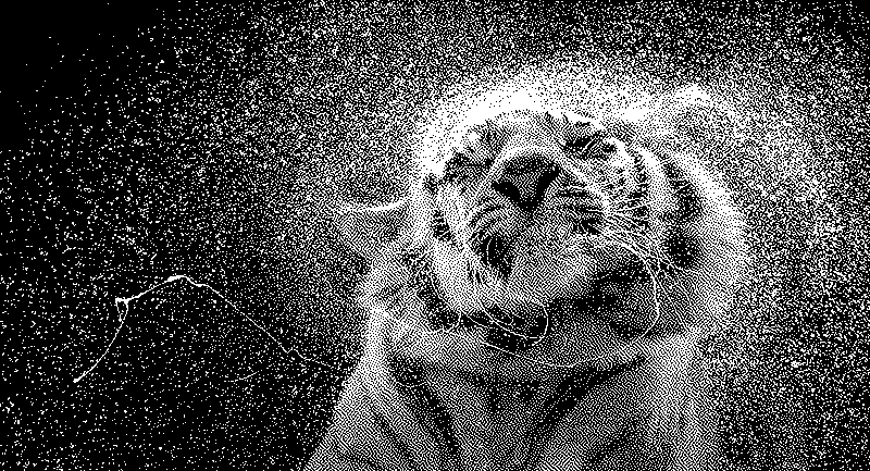 Imagen de Links de Viernes - #641