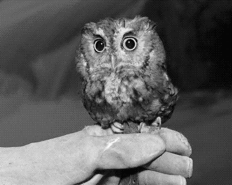 Imagen de Links de Viernes - #650