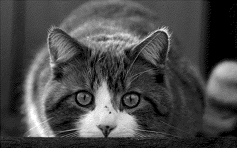 Imagen de Links de Viernes - #652  