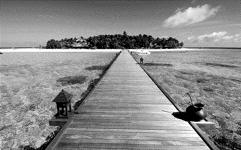 Imagen de Links de Viernes - #655