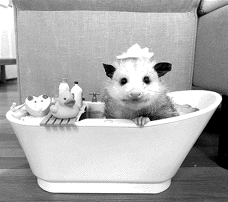 Imagen de Links de Viernes - #660