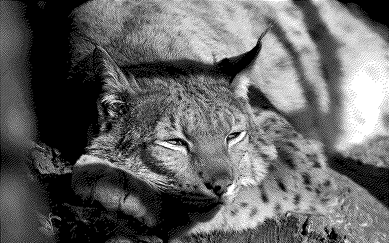 Imagen de Links de Viernes - #662