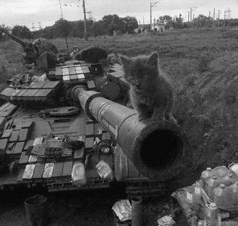 Imagen de Mascotas en la guerra