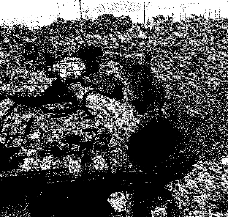 Imagen de Mascotas en la guerra