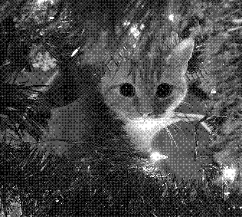 Imagen de Felices Fiestas!