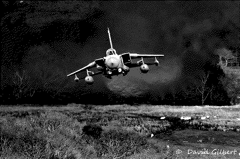 Imagen de Vuelo Rasante 5