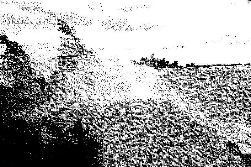 Imagen de Ruleta Rusa #555