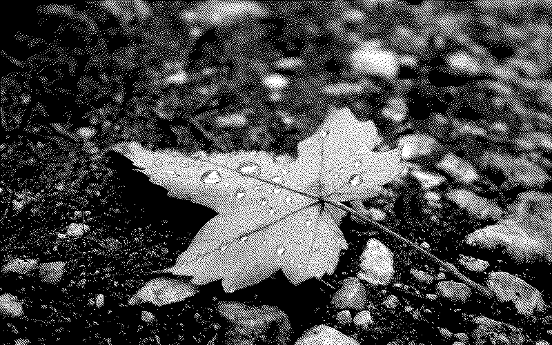 Imagen de Ruleta Rusa #557