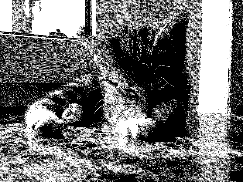 Imagen de Ruleta Rusa #558