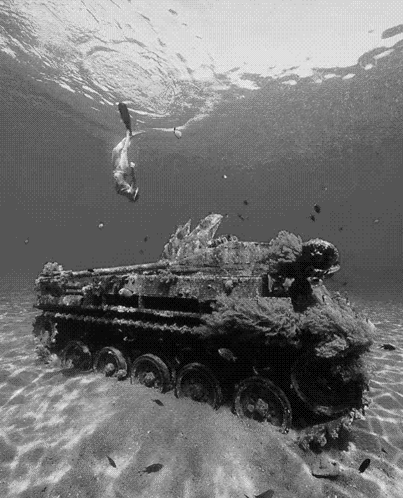 Imagen de Tanques en paz - 10