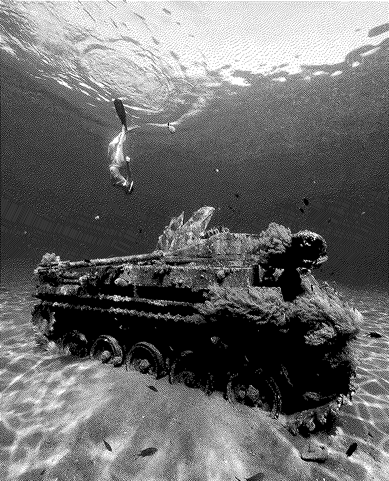 Imagen de Tanques en paz - 10