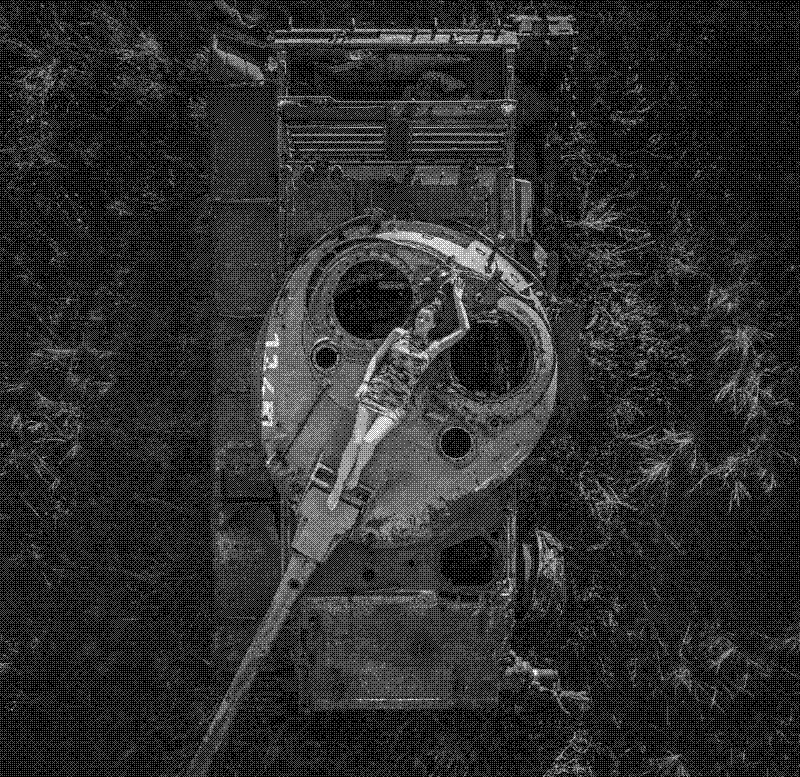 Imagen de Tanques en paz - 11