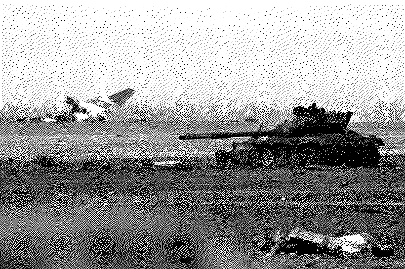 Imagen de Tanques en paz - 9