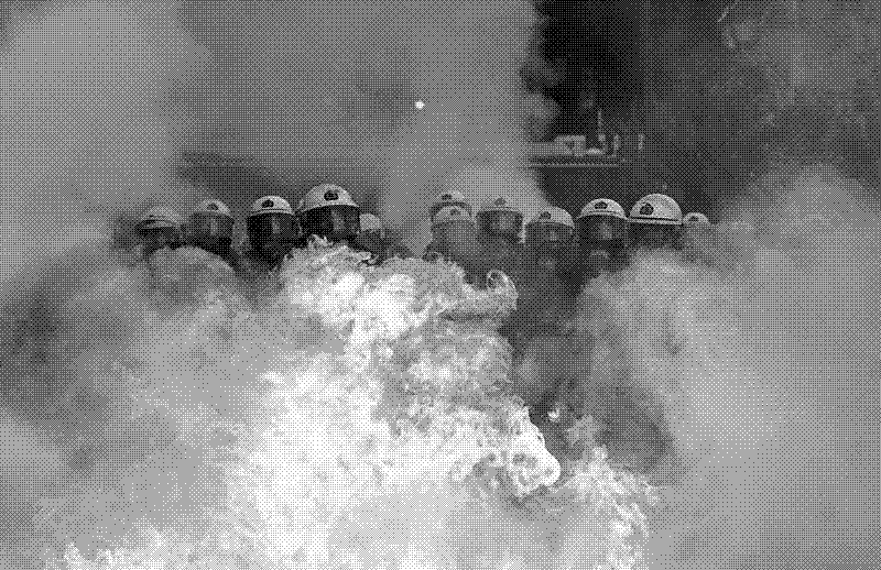 Imagen de Nuestros negros lives matters