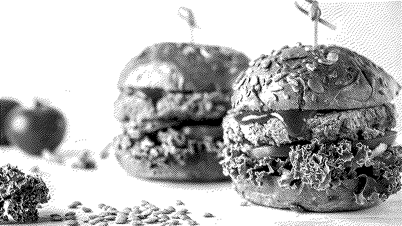 Imagen de Hacia una redefinición de los nombres de las comidas impulsada por el veganismo - Universidad de Garchford