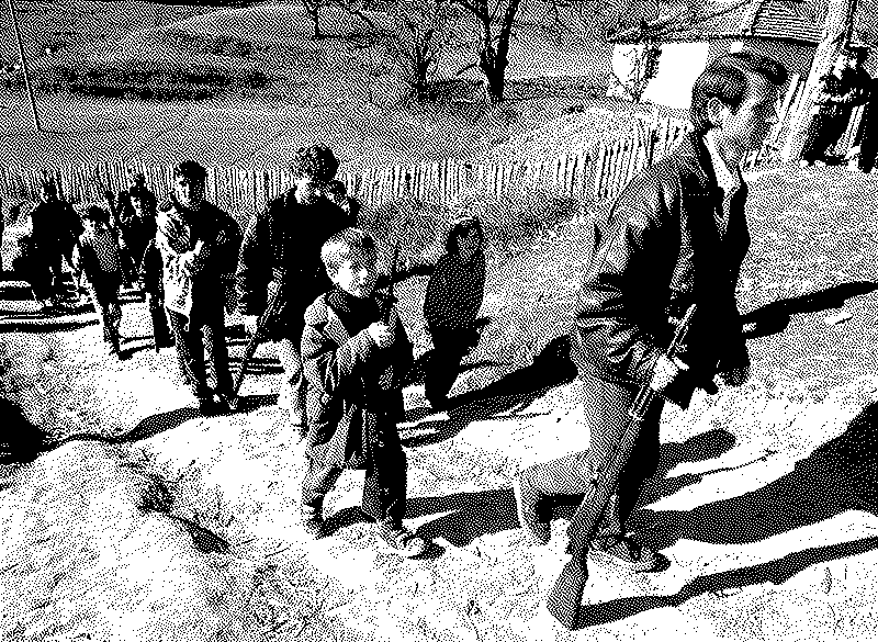 Imagen de El caso de Albania: Cuando todo un país cayó en una estafa piramidal