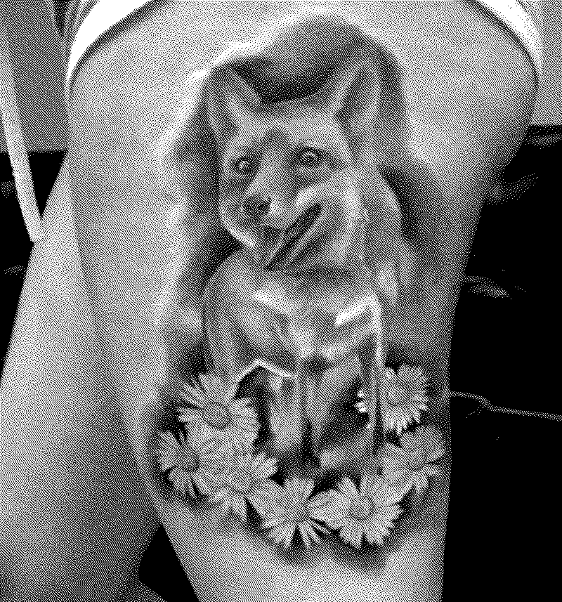 Imagen de BadTattoo: los peores tatuajes que jamás te deberías hacer - Parte 14