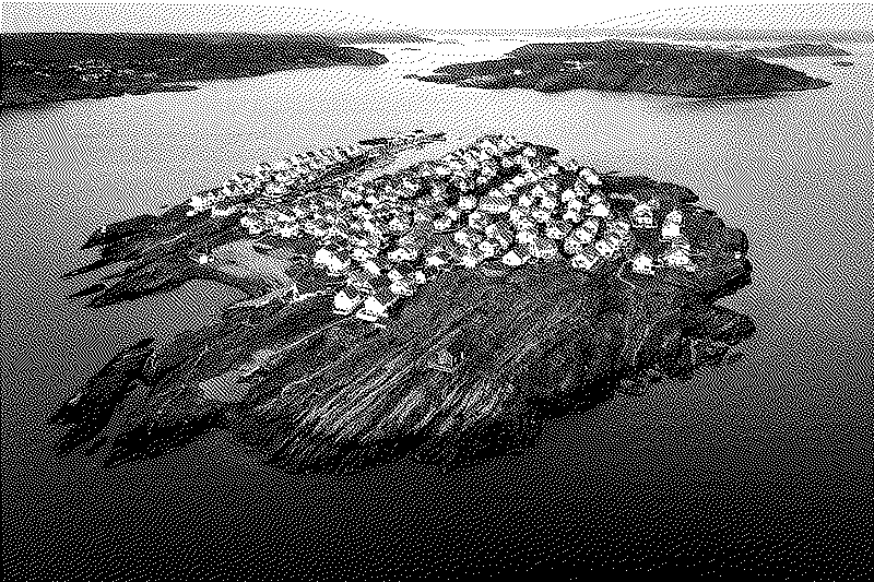 Imagen de Paises e islas