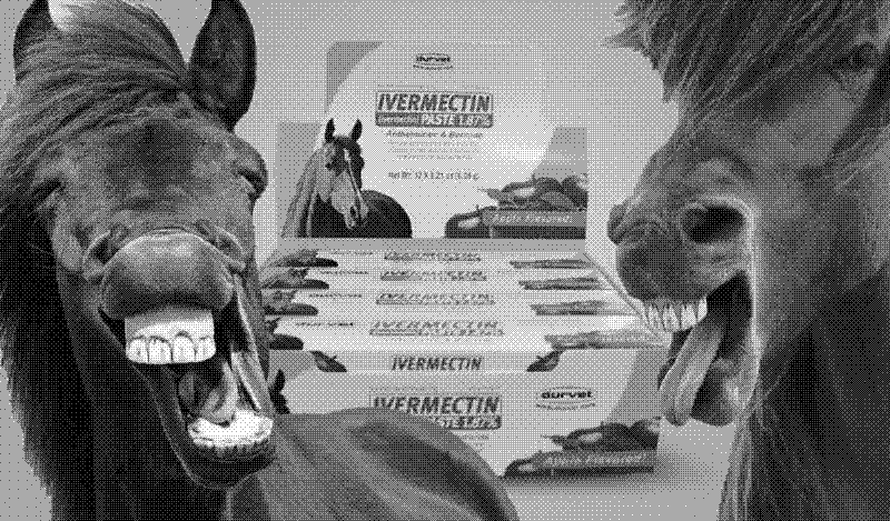 Imagen de Conspiranoia: Combatiendo el COVID con ignorancia y desparasitador de caballos. El caso de la Ivermectina