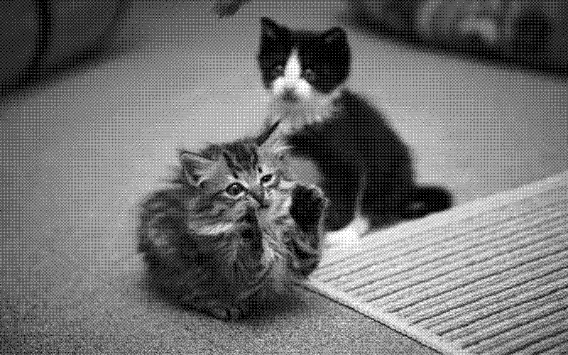 Imagen de Links de Viernes - #664