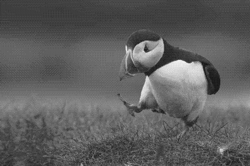 Imagen de Links de Viernes - #674