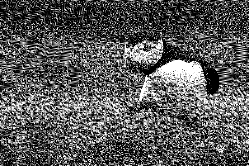 Imagen de Links de Viernes - #674