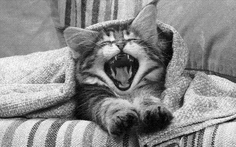 Imagen de Links de Viernes - #681