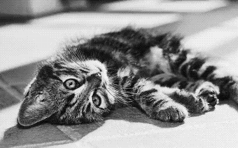Imagen de Links de Viernes - #684