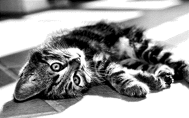 Imagen de Links de Viernes - #684