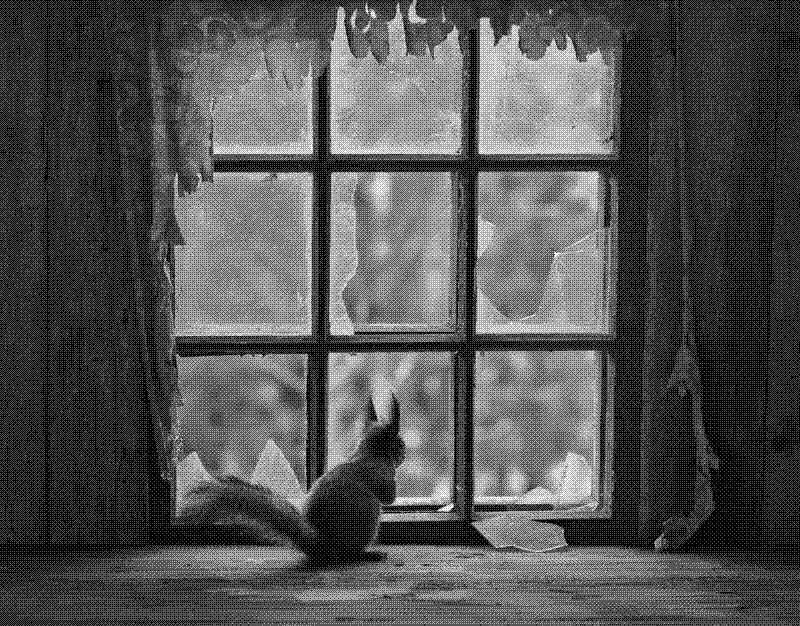 Imagen de Links de Viernes - #685