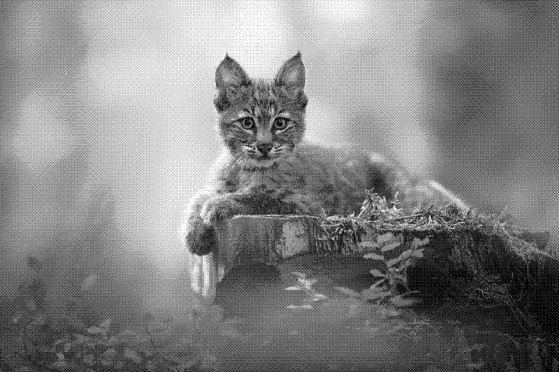 Imagen de Links de Viernes - #691