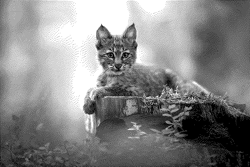 Imagen de Links de Viernes - #691