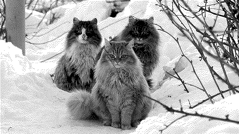 Imagen de Links de Viernes - #692