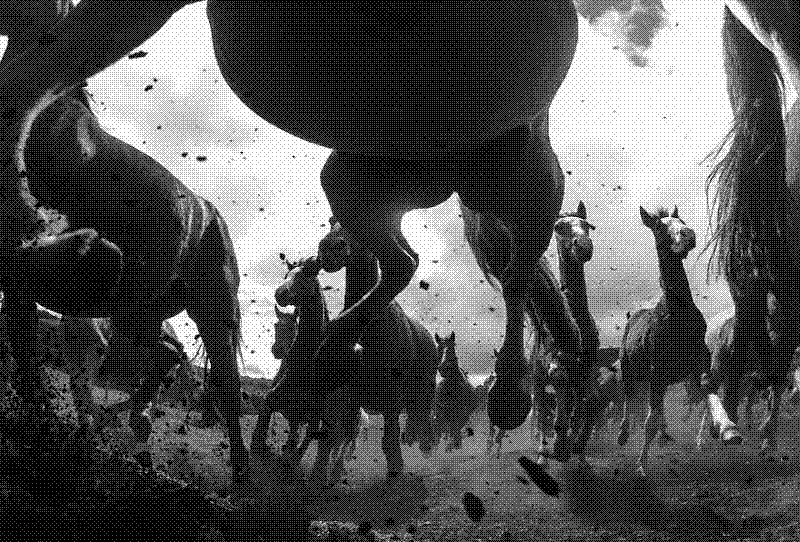 Imagen de Links de Viernes - #695