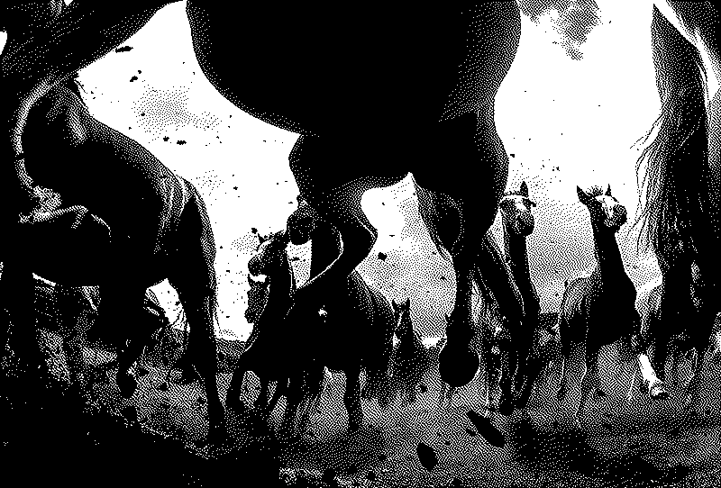 Imagen de Links de Viernes - #695