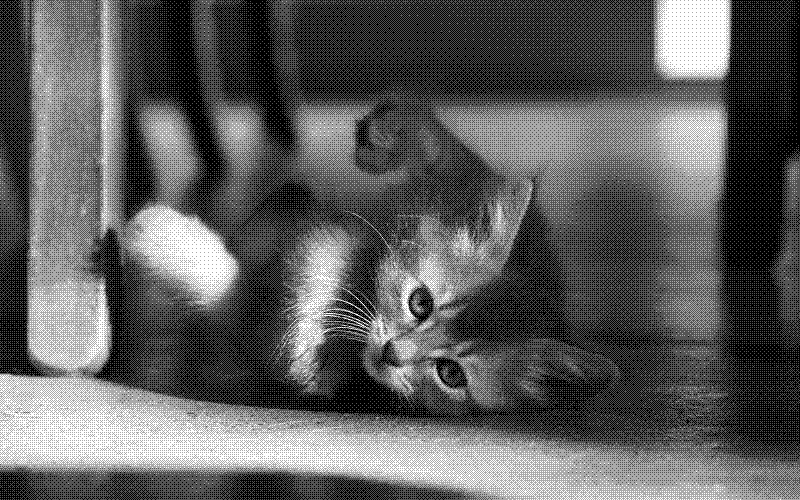 Imagen de Links de Viernes - #700