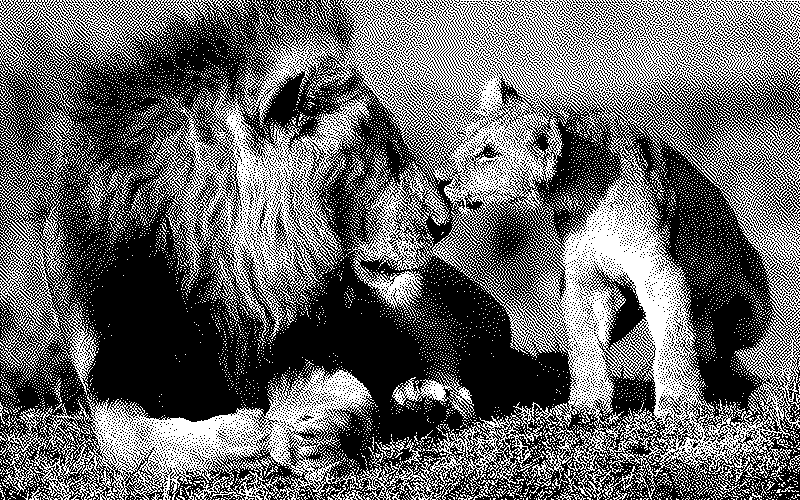 Imagen de Links de Viernes - #705